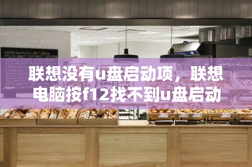 联想没有u盘启动项，联想电脑按f12找不到u盘启动