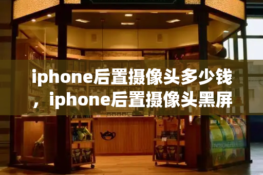 iphone后置摄像头多少钱，iphone后置摄像头黑屏-第1张图片-星选测评