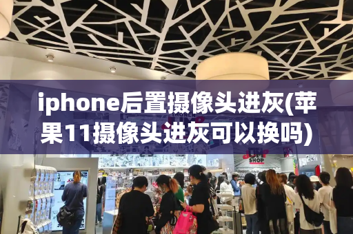 iphone后置摄像头进灰(苹果11摄像头进灰可以换吗)-第1张图片-星选测评
