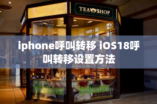 iphone呼叫转移 iOS18呼叫转移设置方法-第1张图片-星选测评