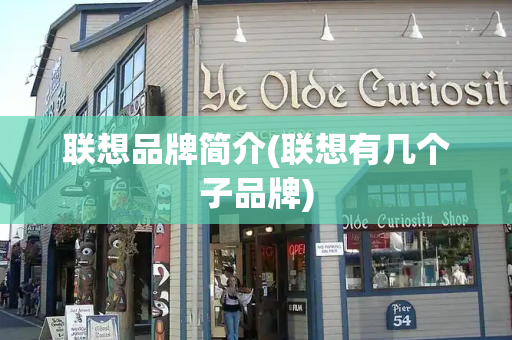 联想品牌简介(联想有几个子品牌)-第1张图片-星选测评