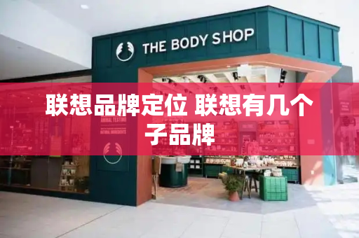 联想品牌定位 联想有几个子品牌-第1张图片-星选测评