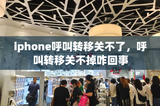 iphone呼叫转移关不了，呼叫转移关不掉咋回事-第1张图片-星选测评