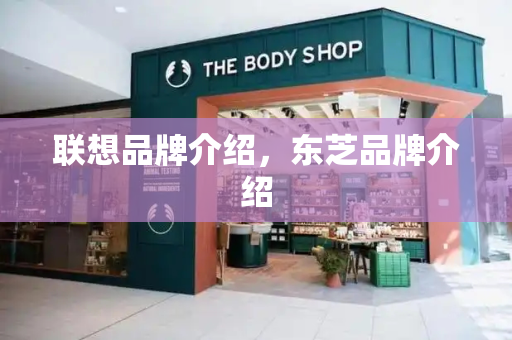 联想品牌介绍，东芝品牌介绍-第1张图片-星选测评