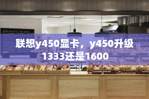 联想y450显卡，y450升级1333还是1600
