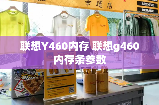 联想Y460内存 联想g460内存条参数-第1张图片-星选测评