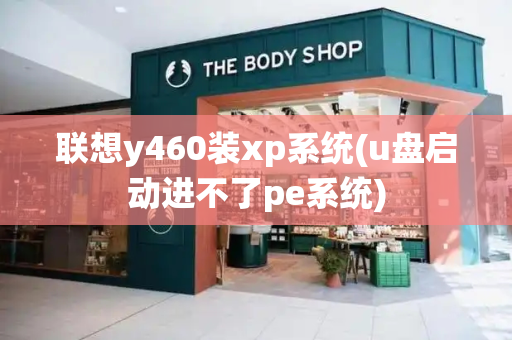 联想y460装xp系统(u盘启动进不了pe系统)-第1张图片-星选测评