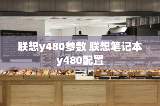 联想y480参数 联想笔记本y480配置