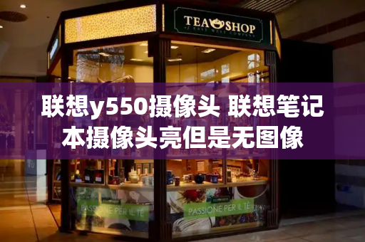 联想y550摄像头 联想笔记本摄像头亮但是无图像-第1张图片-星选测评