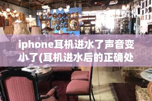 iphone耳机进水了声音变小了(耳机进水后的正确处理方法)