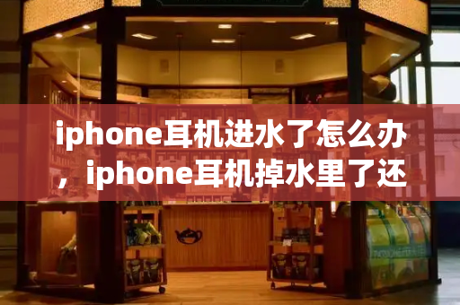 iphone耳机进水了怎么办，iphone耳机掉水里了还能用吗