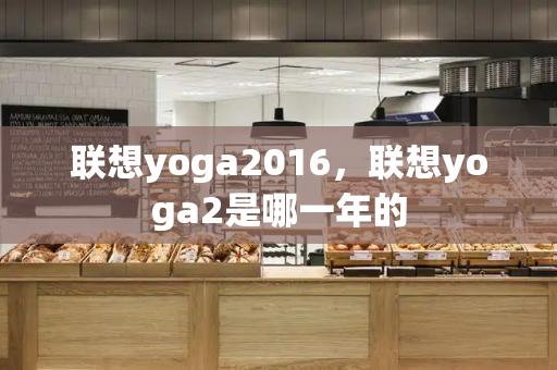 联想yoga2016，联想yoga2是哪一年的-第1张图片-星选测评