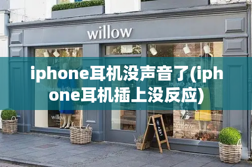 iphone耳机没声音了(iphone耳机插上没反应)-第1张图片-星选测评