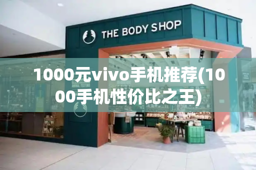 1000元vivo手机推荐(1000手机性价比之王)