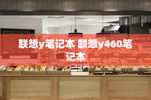 联想y笔记本 联想y460笔记本-第1张图片-星选测评