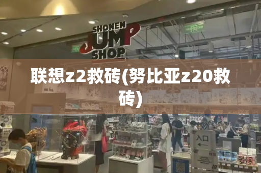 联想z2救砖(努比亚z20救砖)-第1张图片-星选测评