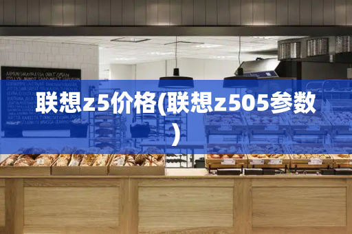 联想z5价格(联想z505参数)-第1张图片-星选测评