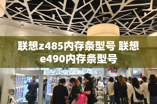 联想z485内存条型号 联想e490内存条型号-第1张图片-星选测评