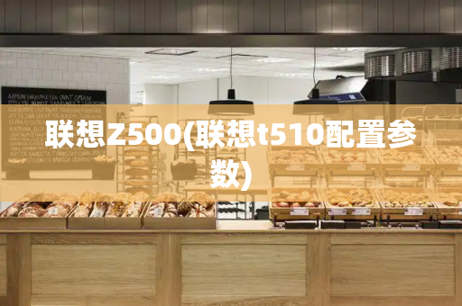 联想Z500(联想t510配置参数)-第1张图片-星选测评