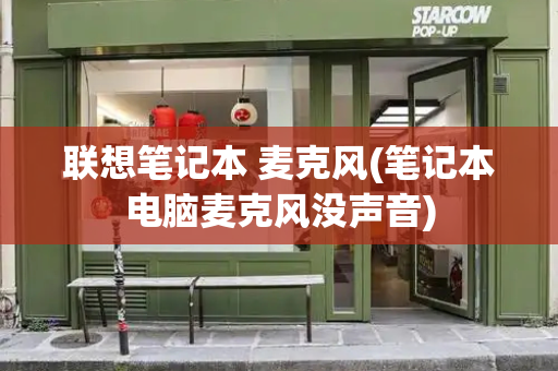 联想笔记本 麦克风(笔记本电脑麦克风没声音)-第1张图片-星选测评