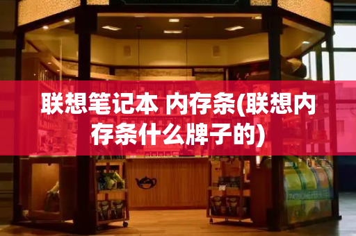 联想笔记本 内存条(联想内存条什么牌子的)-第1张图片-星选测评