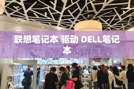 联想笔记本 驱动 DELL笔记本-第1张图片-星选测评