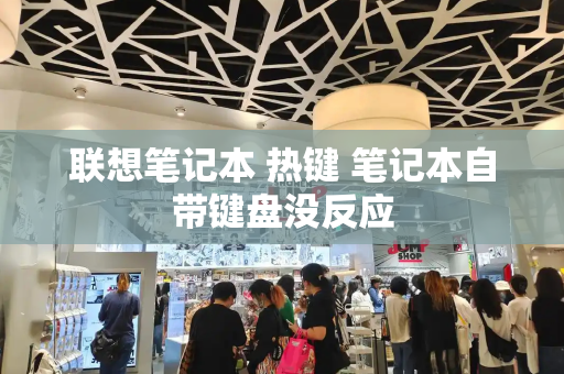 联想笔记本 热键 笔记本自带键盘没反应-第1张图片-星选测评