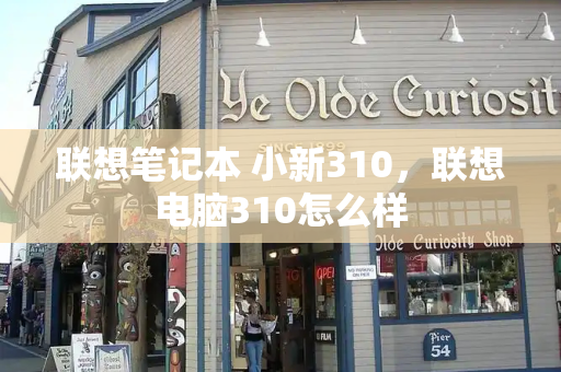 联想笔记本 小新310，联想电脑310怎么样