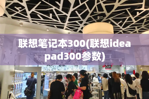联想笔记本300(联想ideapad300参数)