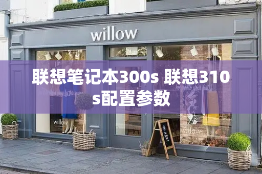 联想笔记本300s 联想310s配置参数-第1张图片-星选测评