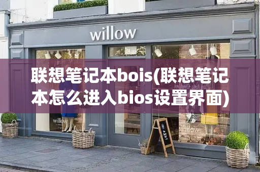 联想笔记本bois(联想笔记本怎么进入bios设置界面)