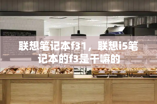 联想笔记本f31，联想i5笔记本的f3是干嘛的-第1张图片-星选测评