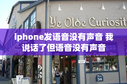 iphone发语音没有声音 我说话了但语音没有声音