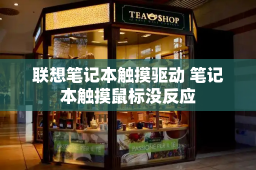 联想笔记本触摸驱动 笔记本触摸鼠标没反应-第1张图片-星选测评
