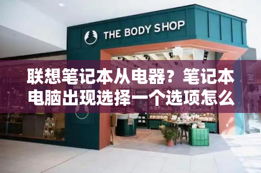 联想笔记本从电器？笔记本电脑出现选择一个选项怎么办-第1张图片-星选测评