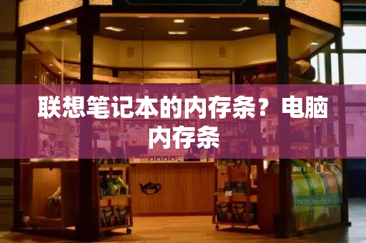 联想笔记本的内存条？电脑内存条-第1张图片-星选测评