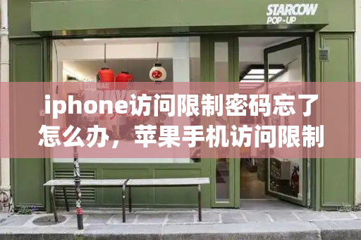 iphone访问限制密码忘了怎么办，苹果手机访问限制密码忘了-第1张图片-星选测评