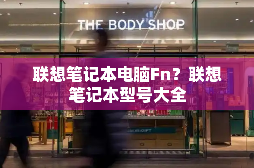 联想笔记本电脑Fn？联想笔记本型号大全-第1张图片-星选测评