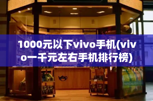 1000元以下vivo手机(vivo一千元左右手机排行榜)