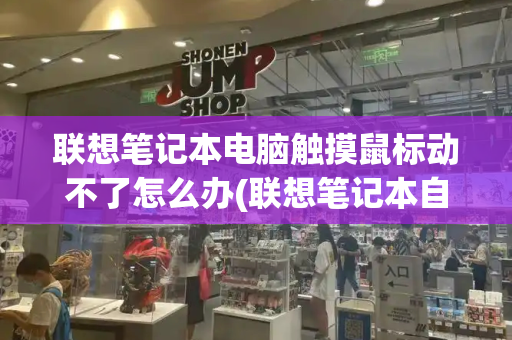 联想笔记本电脑触摸鼠标动不了怎么办(联想笔记本自带的触摸鼠标用不了)