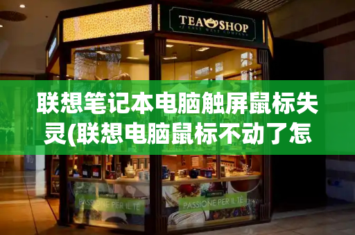 联想笔记本电脑触屏鼠标失灵(联想电脑鼠标不动了怎么办)