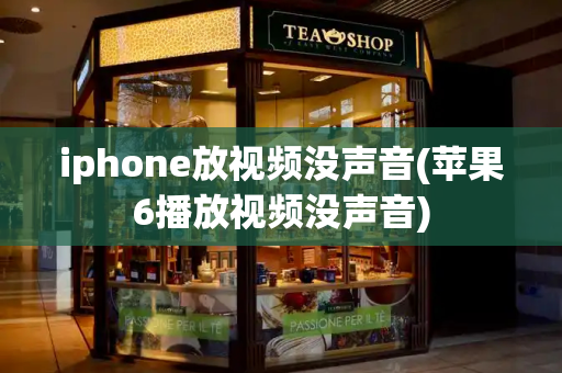 iphone放视频没声音(苹果6播放视频没声音)-第1张图片-星选测评
