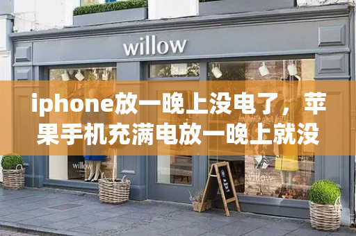 iphone放一晚上没电了，苹果手机充满电放一晚上就没电了-第1张图片-星选测评