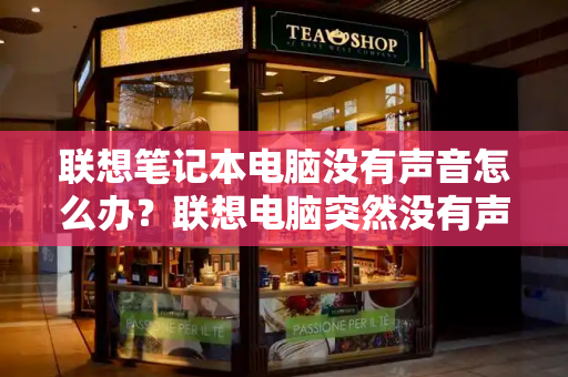 联想笔记本电脑没有声音怎么办？联想电脑突然没有声音了怎么办