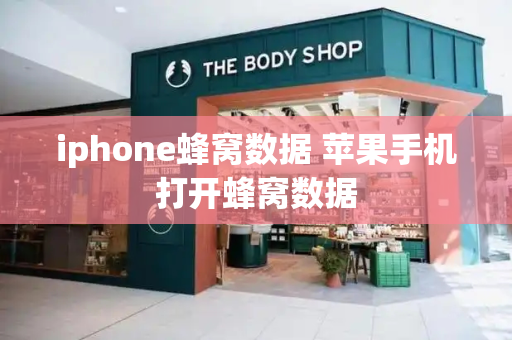 iphone蜂窝数据 苹果手机打开蜂窝数据