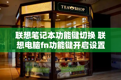 联想笔记本功能键切换 联想电脑fn功能键开启设置-第1张图片-星选测评