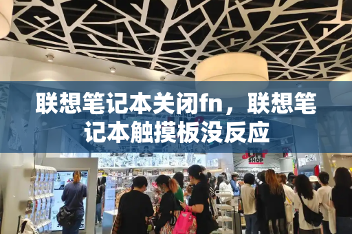联想笔记本关闭fn，联想笔记本触摸板没反应