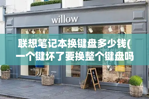 联想笔记本换键盘多少钱(一个键坏了要换整个键盘吗)-第1张图片-星选测评
