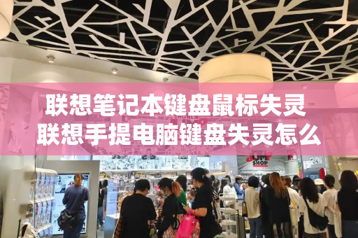联想笔记本键盘鼠标失灵 联想手提电脑键盘失灵怎么解决-第1张图片-星选测评
