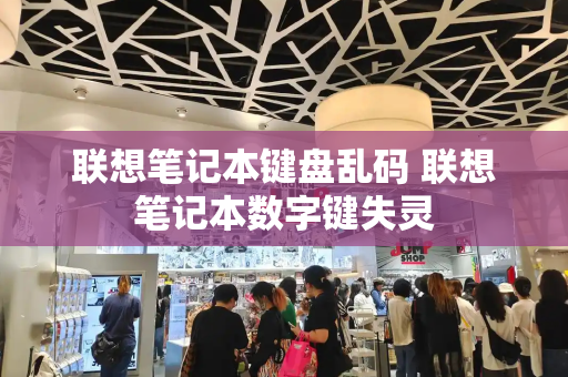 联想笔记本键盘乱码 联想笔记本数字键失灵
